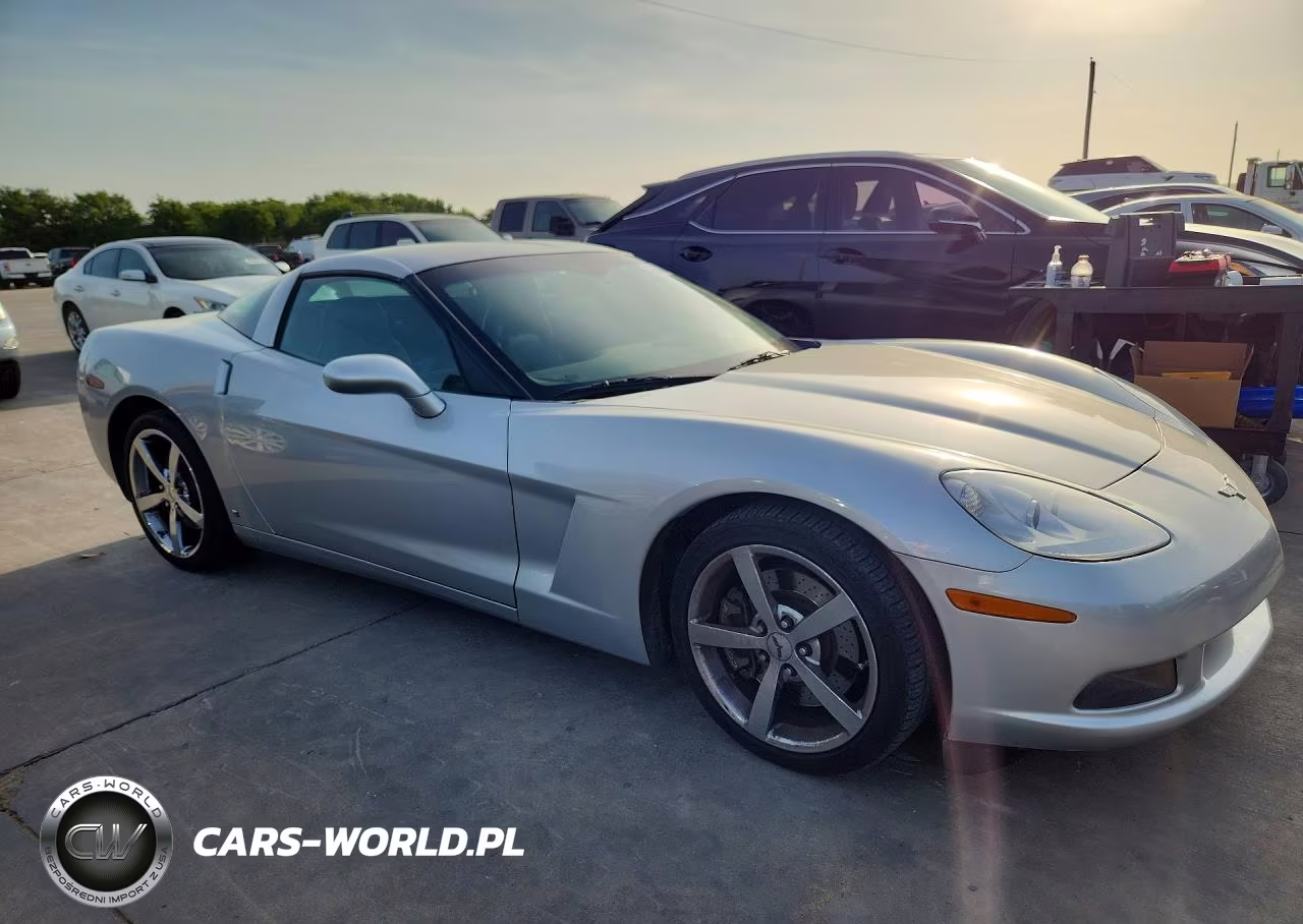 2009 Chevrolet Corvette VIN:1G1YY26W695101295 - 4