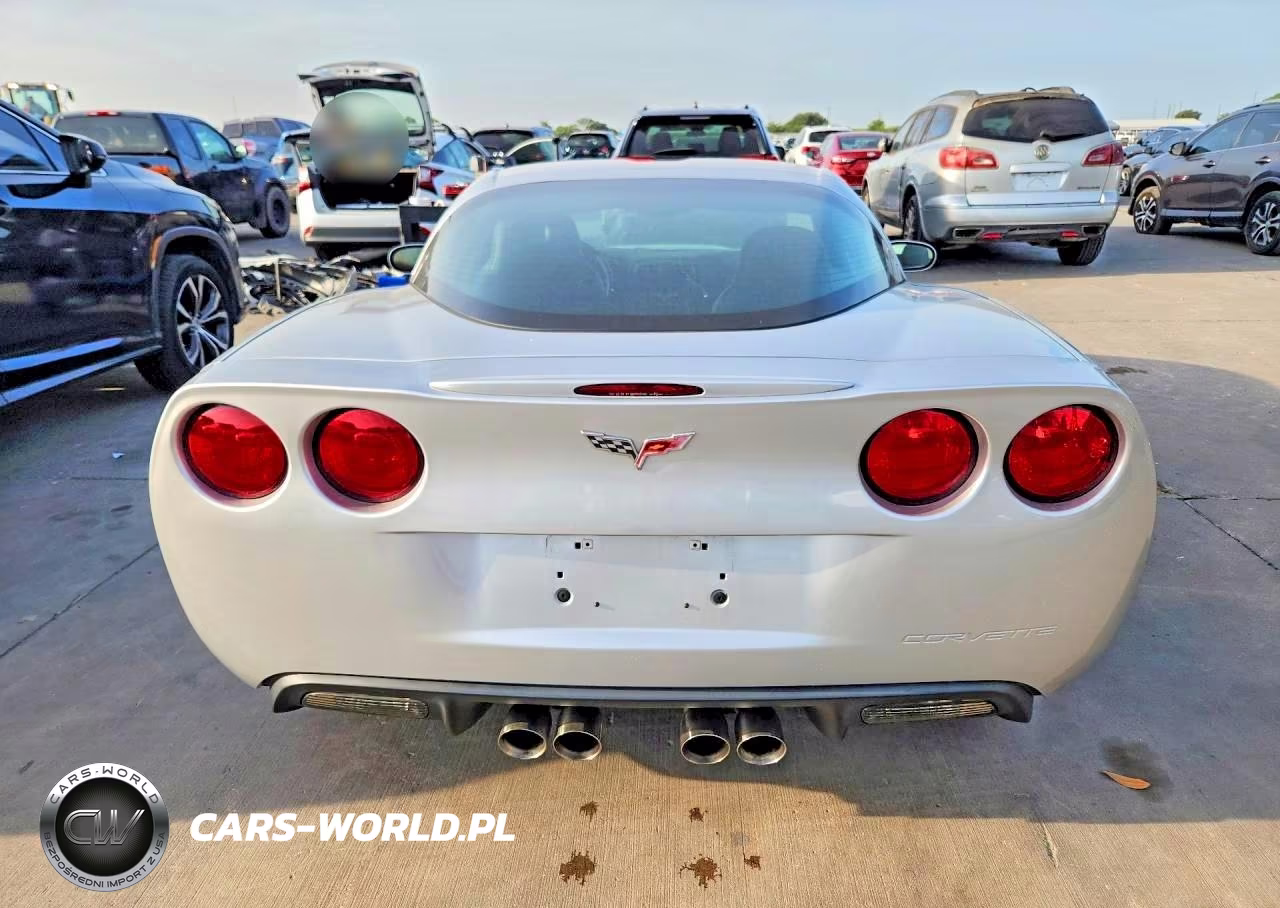 2009 Chevrolet Corvette VIN:1G1YY26W695101295 - 6