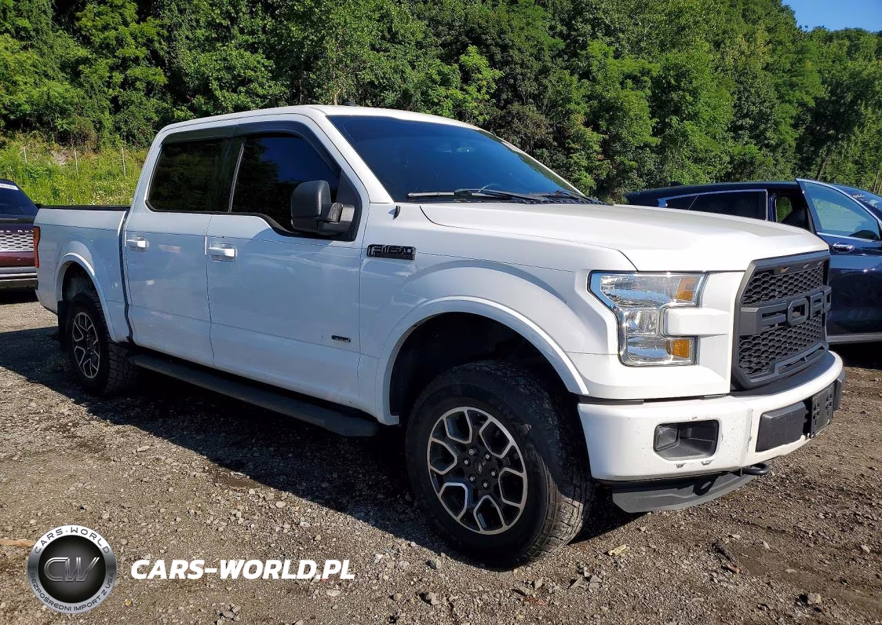 2016 Ford F150 Supercrew VIN:1FTEW1EG2GFB89757 - 4