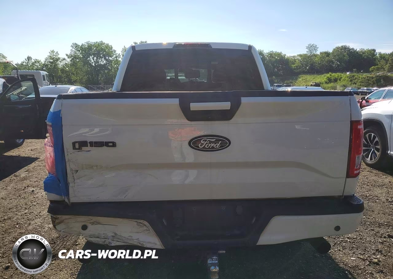 2016 Ford F150 Supercrew VIN:1FTEW1EG2GFB89757 - 6