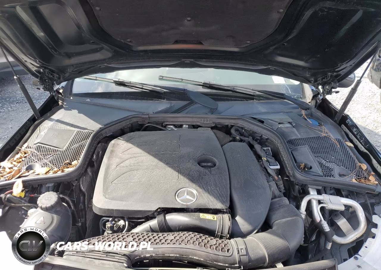 2020 Mercedes-Benz C 300 4Matic 300 4Matic VIN:W1KWF8EB8LR599365 - 11