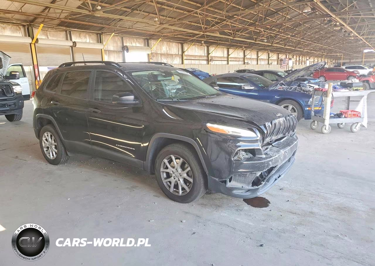 2017 Jeep Cherokee Sport VIN:1C4PJLAB0HW669326 - 4