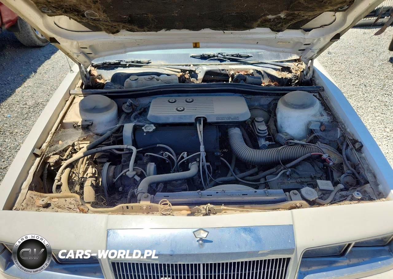 1987 Chrysler Lebaron VIN:1C3BC56D7HF168495 - 11