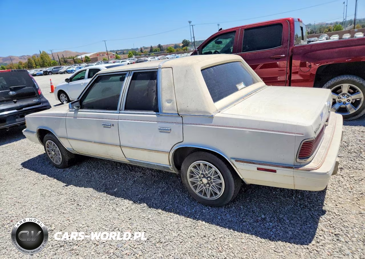 1987 Chrysler Lebaron VIN:1C3BC56D7HF168495 - 2