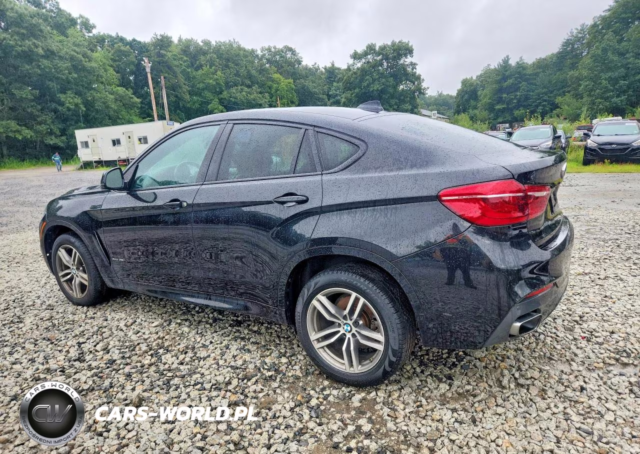 2019 BMW X6 xDrive35I VIN:5UXKU2C52K0Z65590 - 2