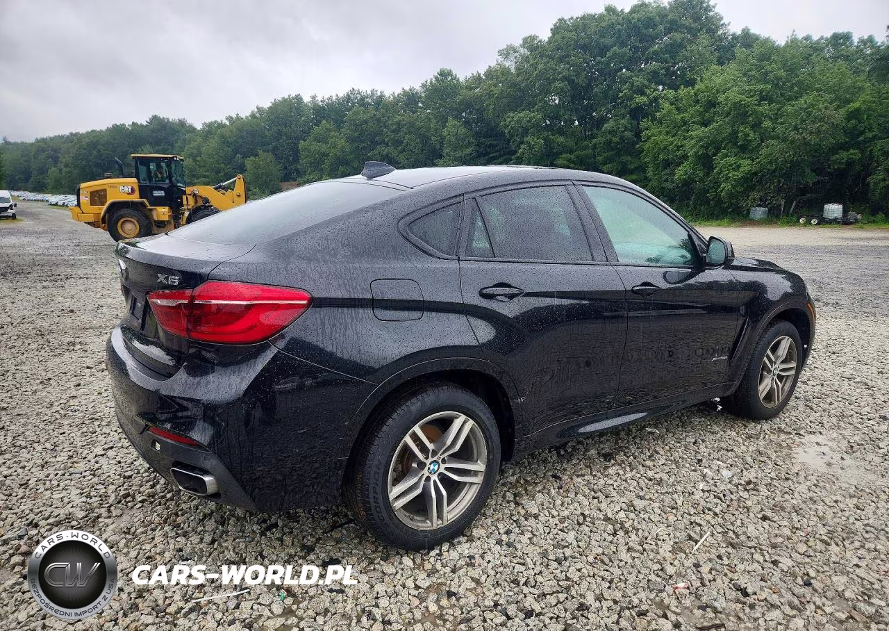 2019 BMW X6 xDrive35I VIN:5UXKU2C52K0Z65590 - 3