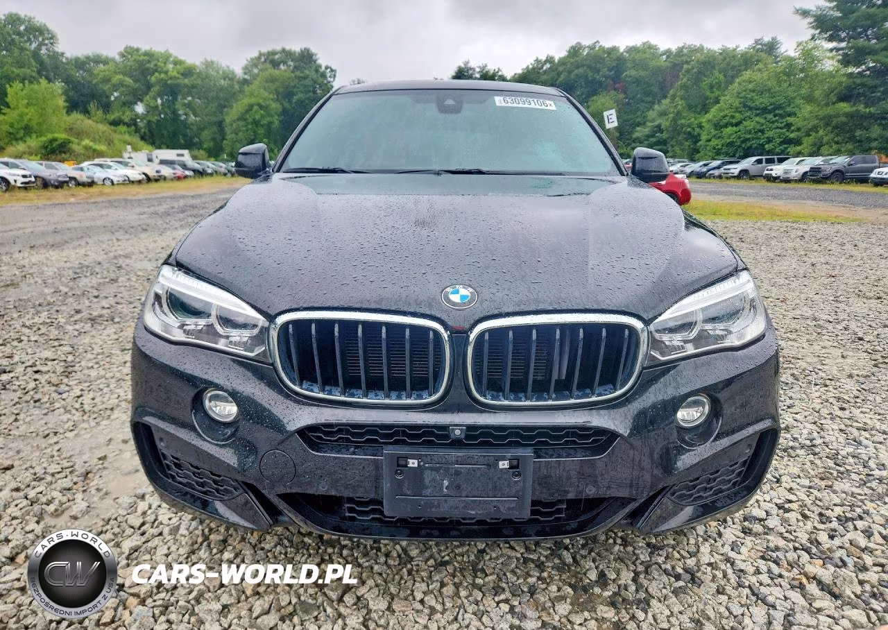 2019 BMW X6 xDrive35I VIN:5UXKU2C52K0Z65590 - 5