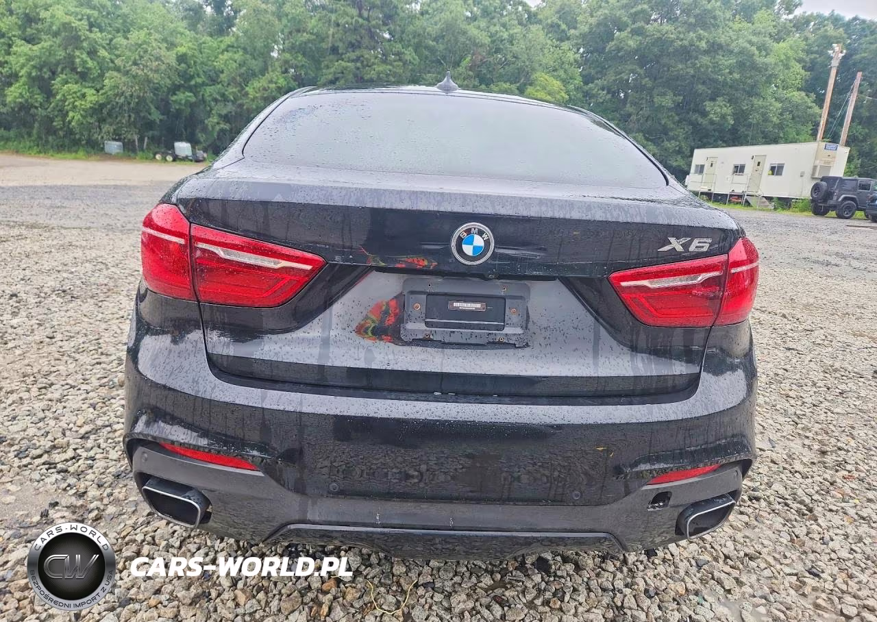 2019 BMW X6 xDrive35I VIN:5UXKU2C52K0Z65590 - 6