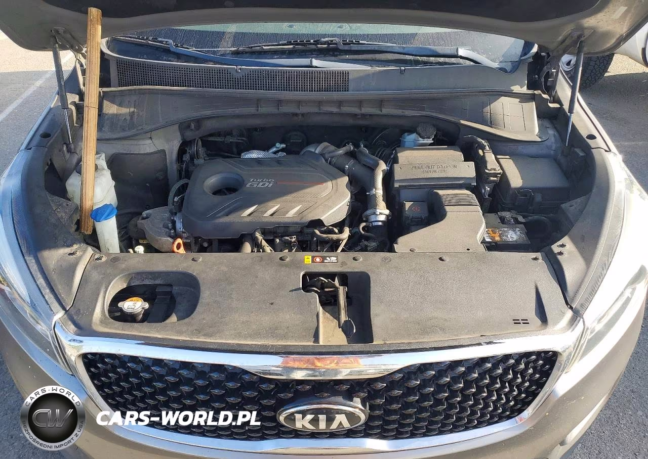 2017 Kia Sorento Ex VIN:5XYPH4A13HG189321 - 12
