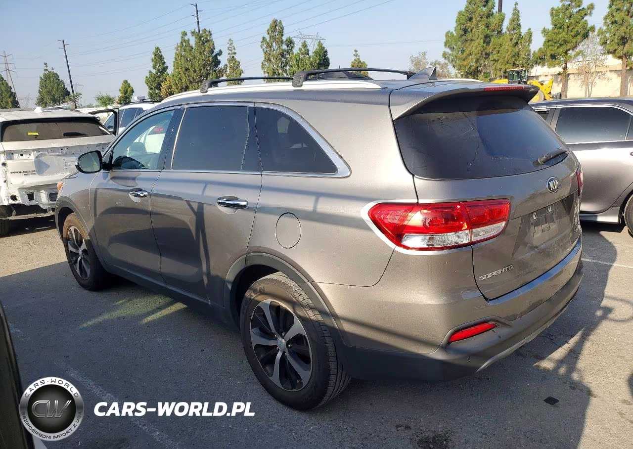 2017 Kia Sorento Ex VIN:5XYPH4A13HG189321 - 2