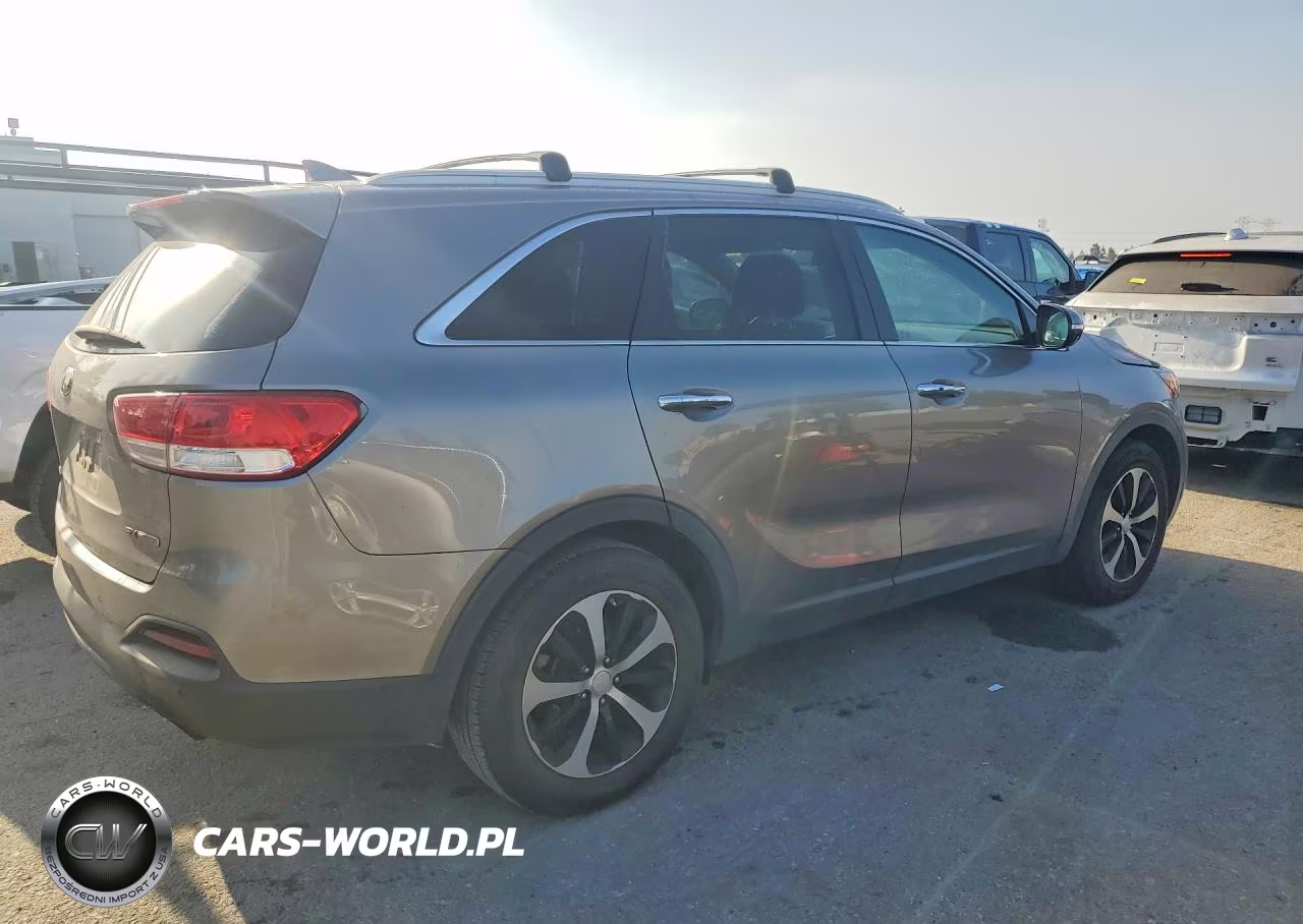 2017 Kia Sorento Ex VIN:5XYPH4A13HG189321 - 3