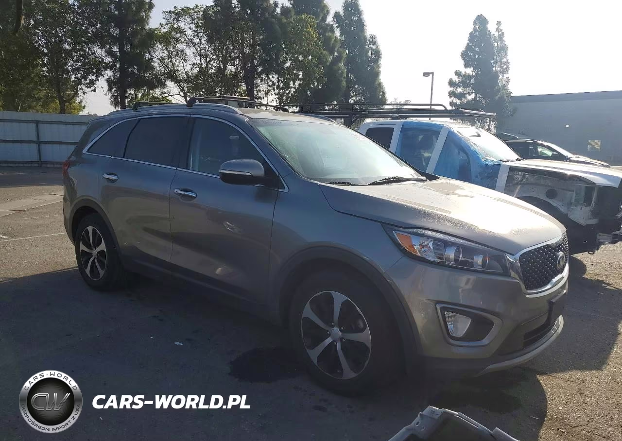 2017 Kia Sorento Ex VIN:5XYPH4A13HG189321 - 4