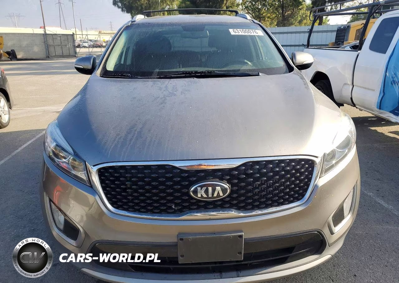 2017 Kia Sorento Ex VIN:5XYPH4A13HG189321 - 5