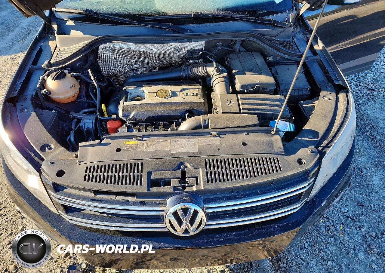 2016 Volkswagen Tiguan S VIN:WVGAV7AX6GW558867 - 12