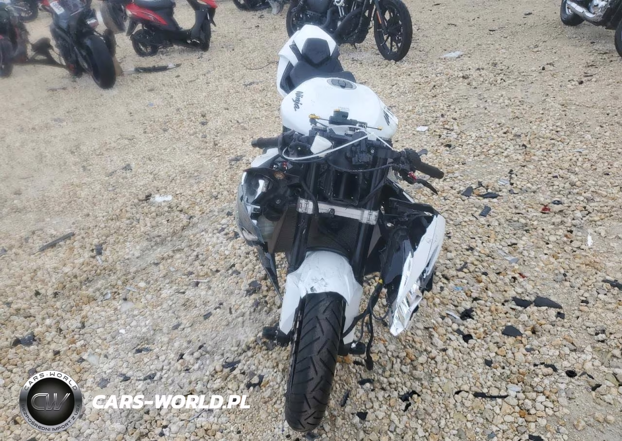 2021 Kawasaki Zx636 K VIN:JKBZXJH13MA009643 - 2