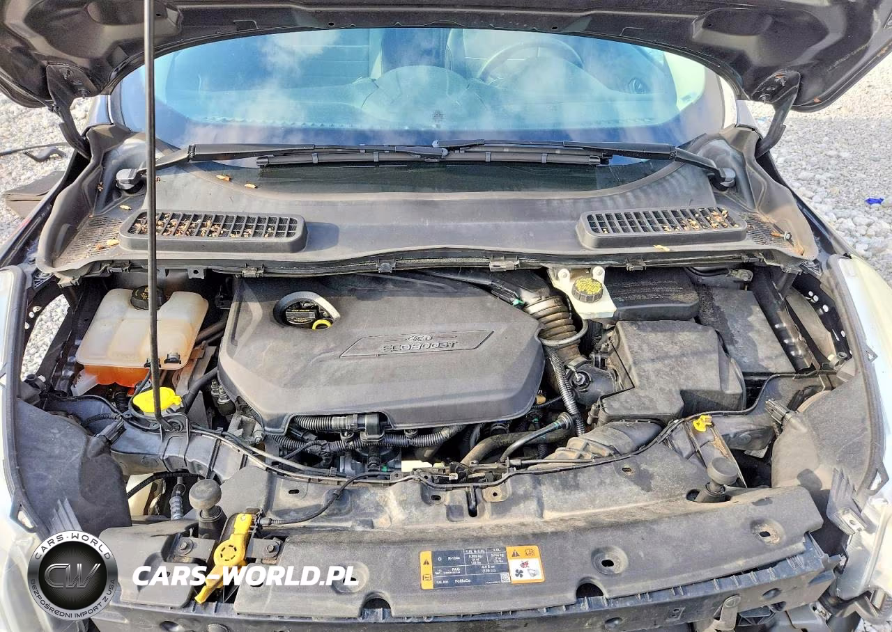 2015 Ford Escape Se VIN:1FMCU0GX1FUA23143 - 12