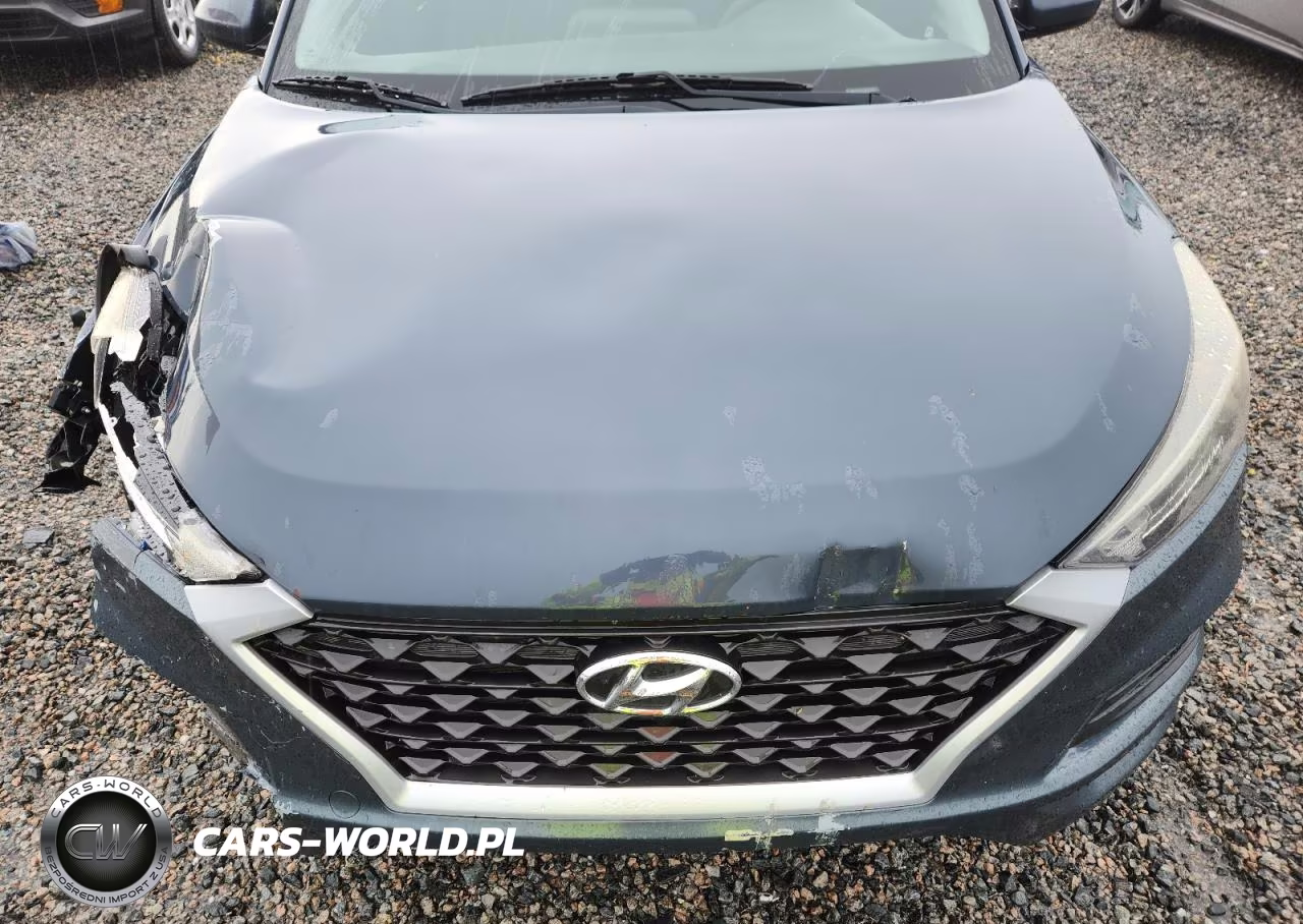 2019 Hyundai Tucson Se VIN:KM8J23A41KU894888 - 12