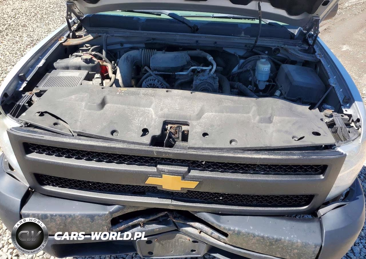 2013 Chevrolet Silverado C1500 VIN:1GCNCPEX3DZ406948 - 11