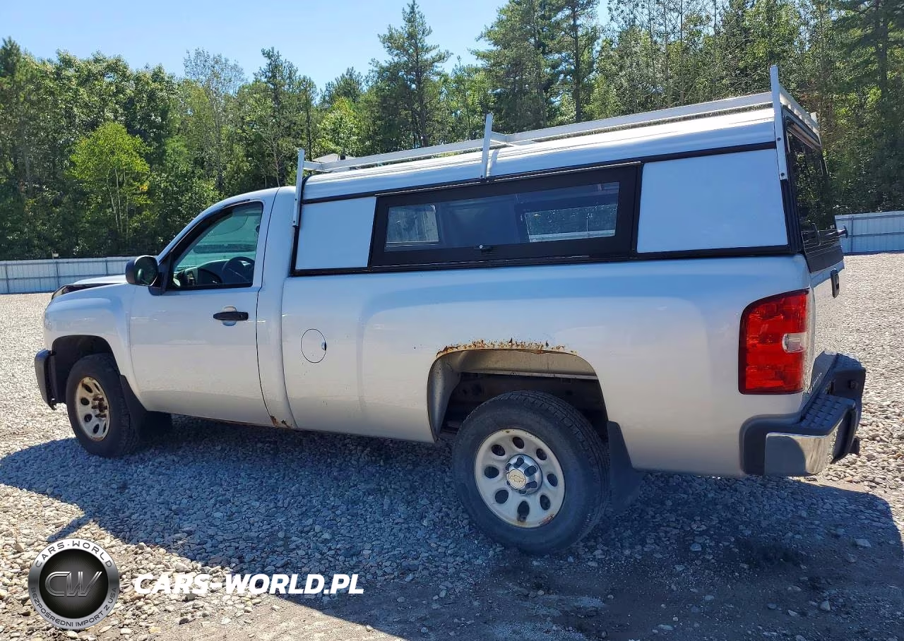 2013 Chevrolet Silverado C1500 VIN:1GCNCPEX3DZ406948 - 2