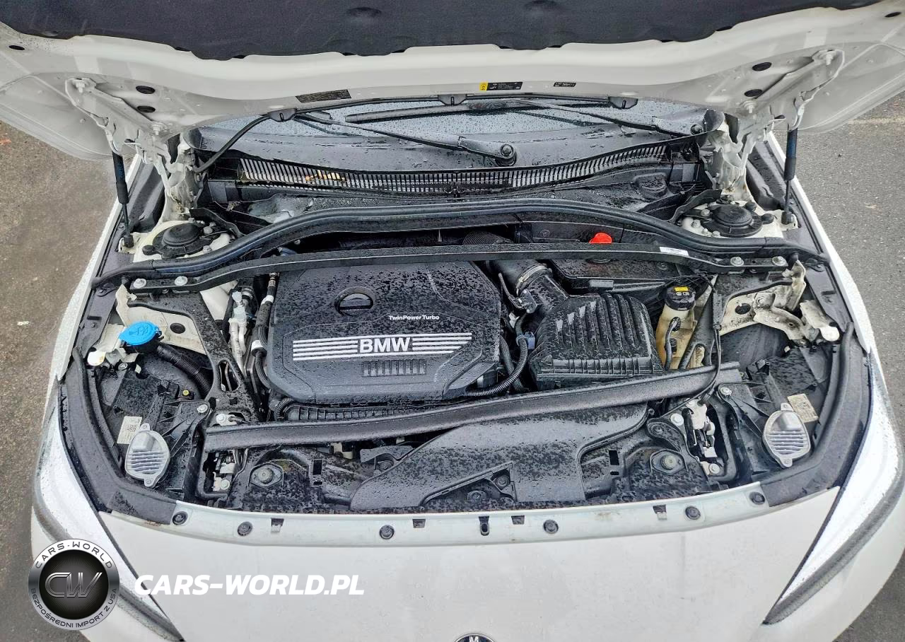 2021 BMW 228Xi VIN:WBA73AK04M7H37756 - 11