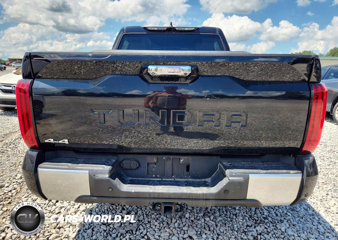 2025 Toyota Tundra Crewmax Limited VIN:5TFJA5DB4SX301746 - 6
