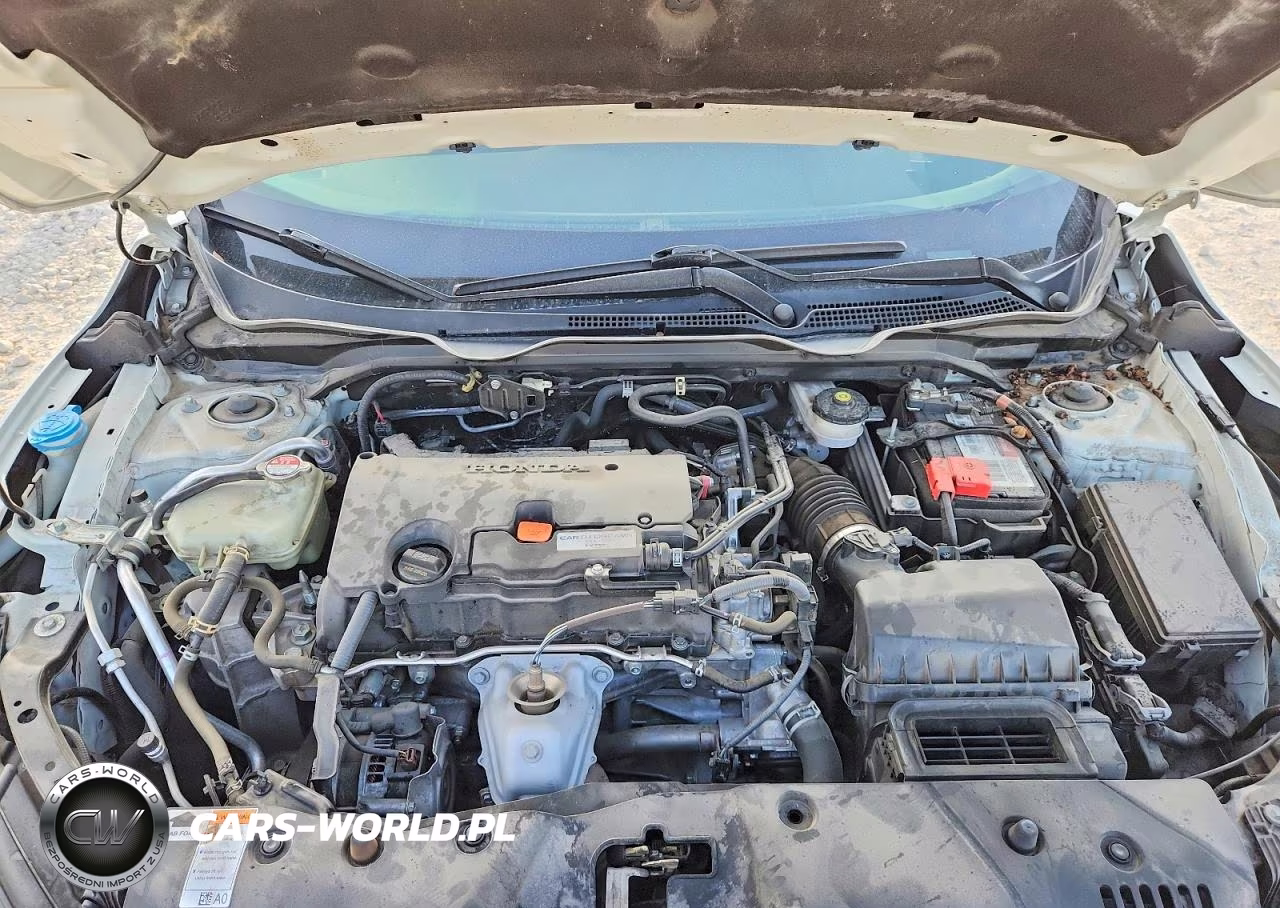 2019 Honda Civic Lx VIN:2HGFC2F69KH516026 - 11