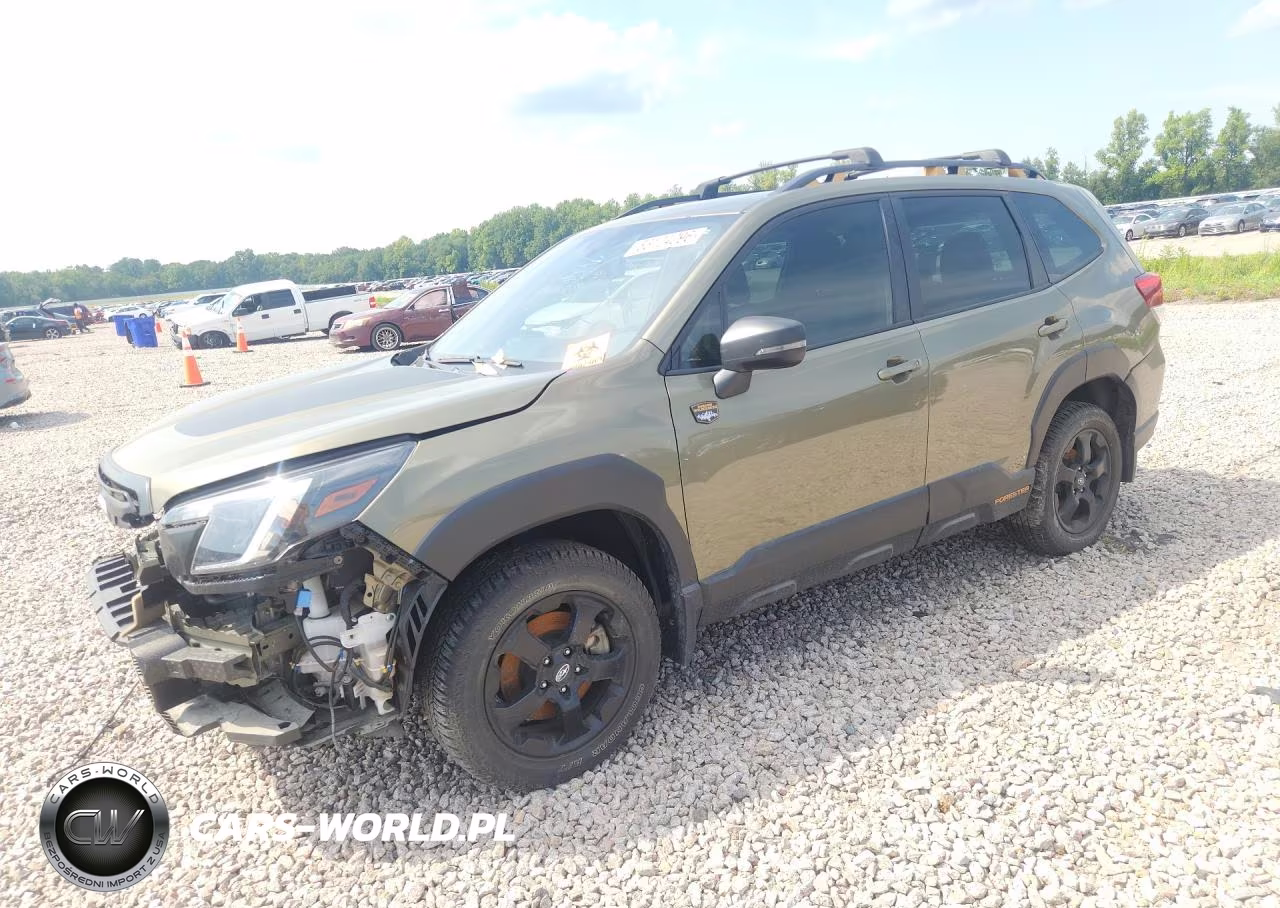 2023 Subaru Forester Wilderness VIN:JF2SKAMC3PH494087 - 1