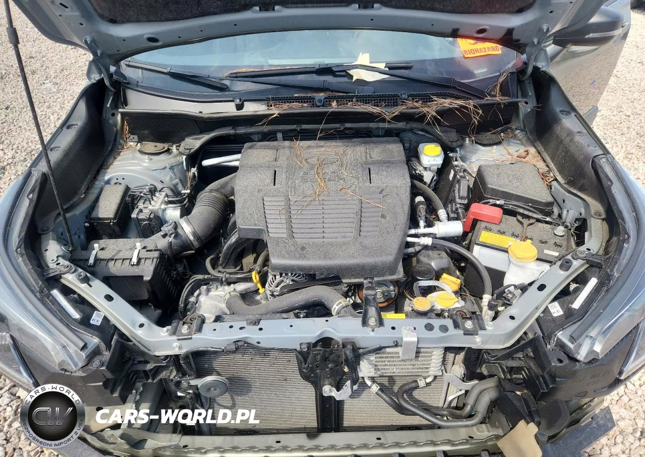 2023 Subaru Forester Wilderness VIN:JF2SKAMC3PH494087 - 12
