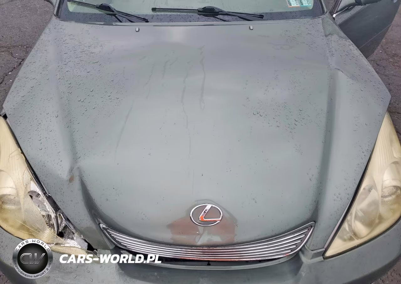 2006 Lexus Es 330 VIN:JTHBA30G865149111 - 11