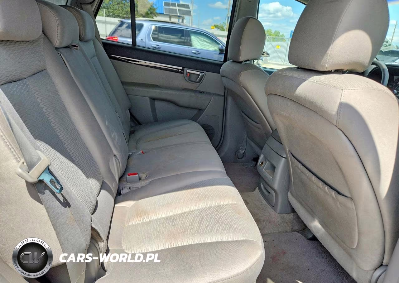 2007 Hyundai Santa Fe Gls VIN:5NMSG13D37H064150 - 10