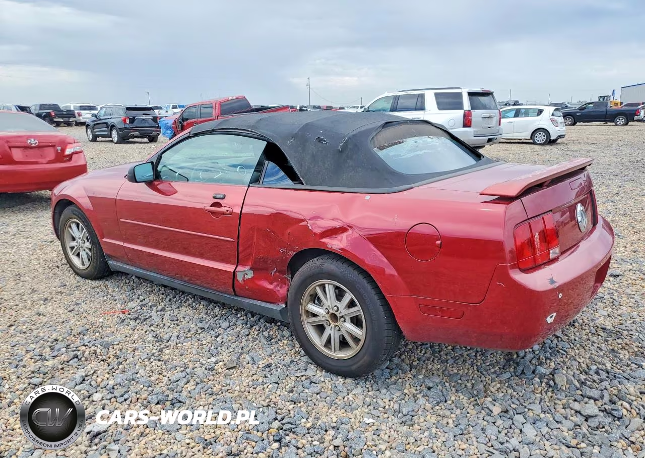 2006 Ford Mustang VIN:1ZVFT84N565189761 - 2