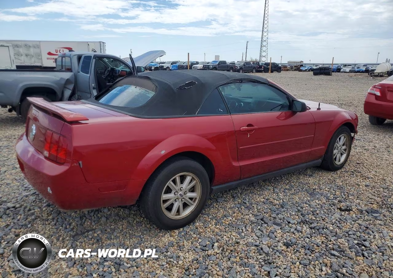 2006 Ford Mustang VIN:1ZVFT84N565189761 - 3