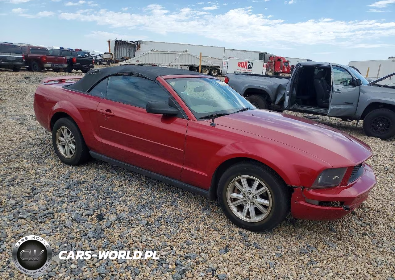 2006 Ford Mustang VIN:1ZVFT84N565189761 - 4