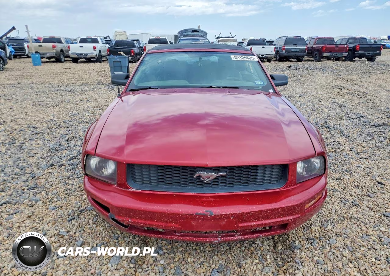 2006 Ford Mustang VIN:1ZVFT84N565189761 - 5