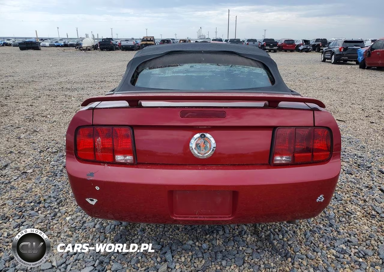 2006 Ford Mustang VIN:1ZVFT84N565189761 - 6