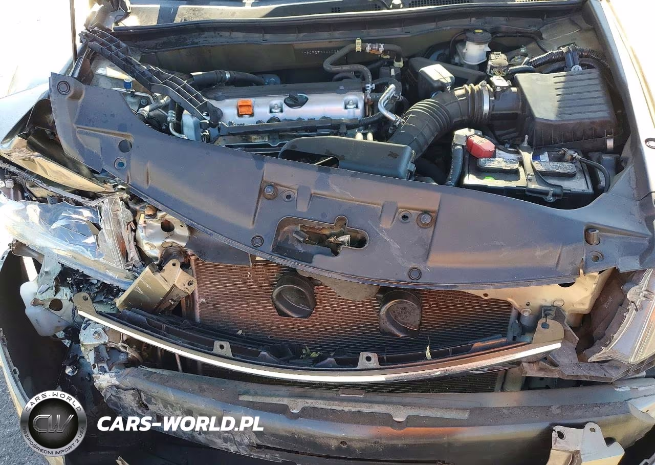 2010 Honda Accord Lx VIN:1HGCP2F33AA028507 - 11