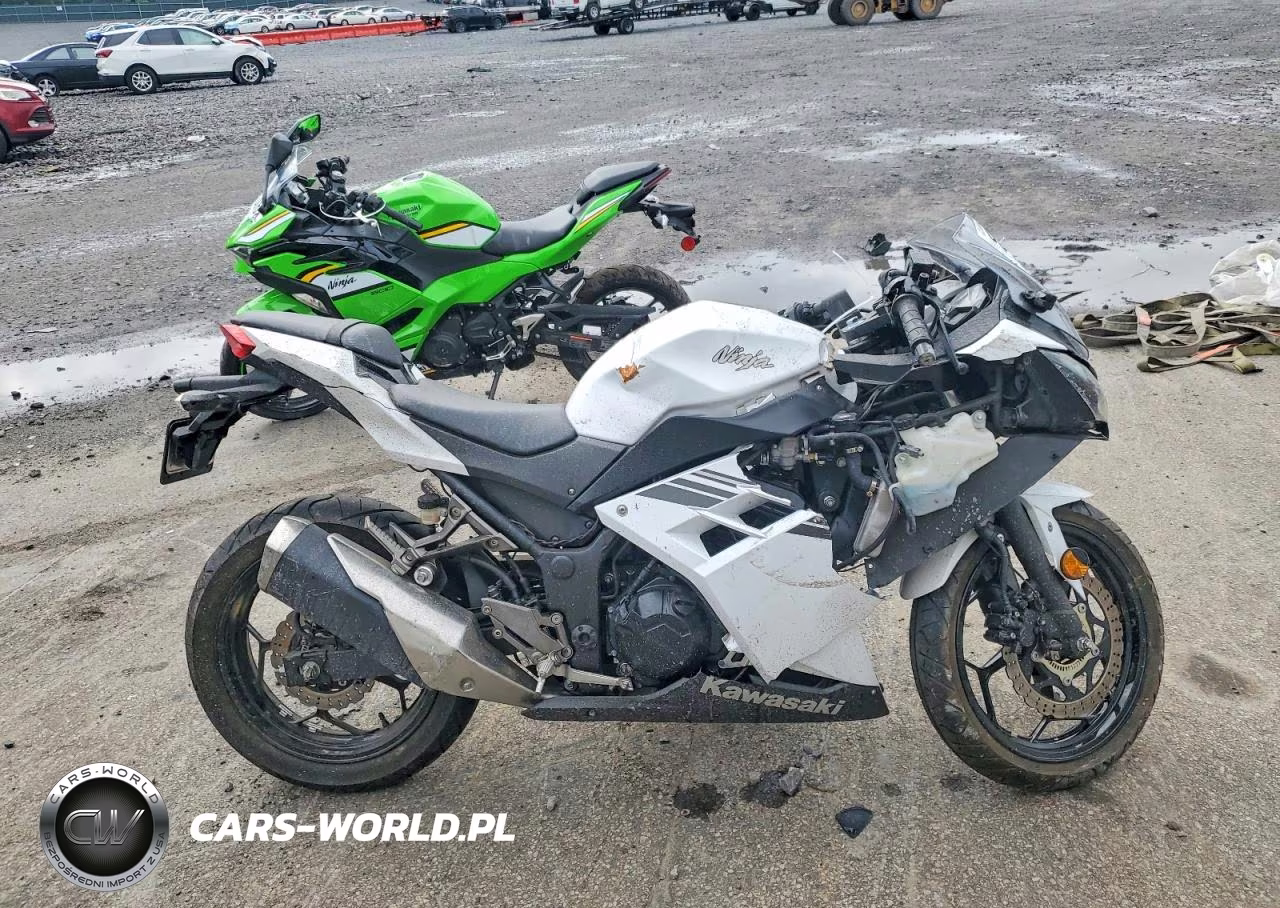 2017 Kawasaki Ex300 B