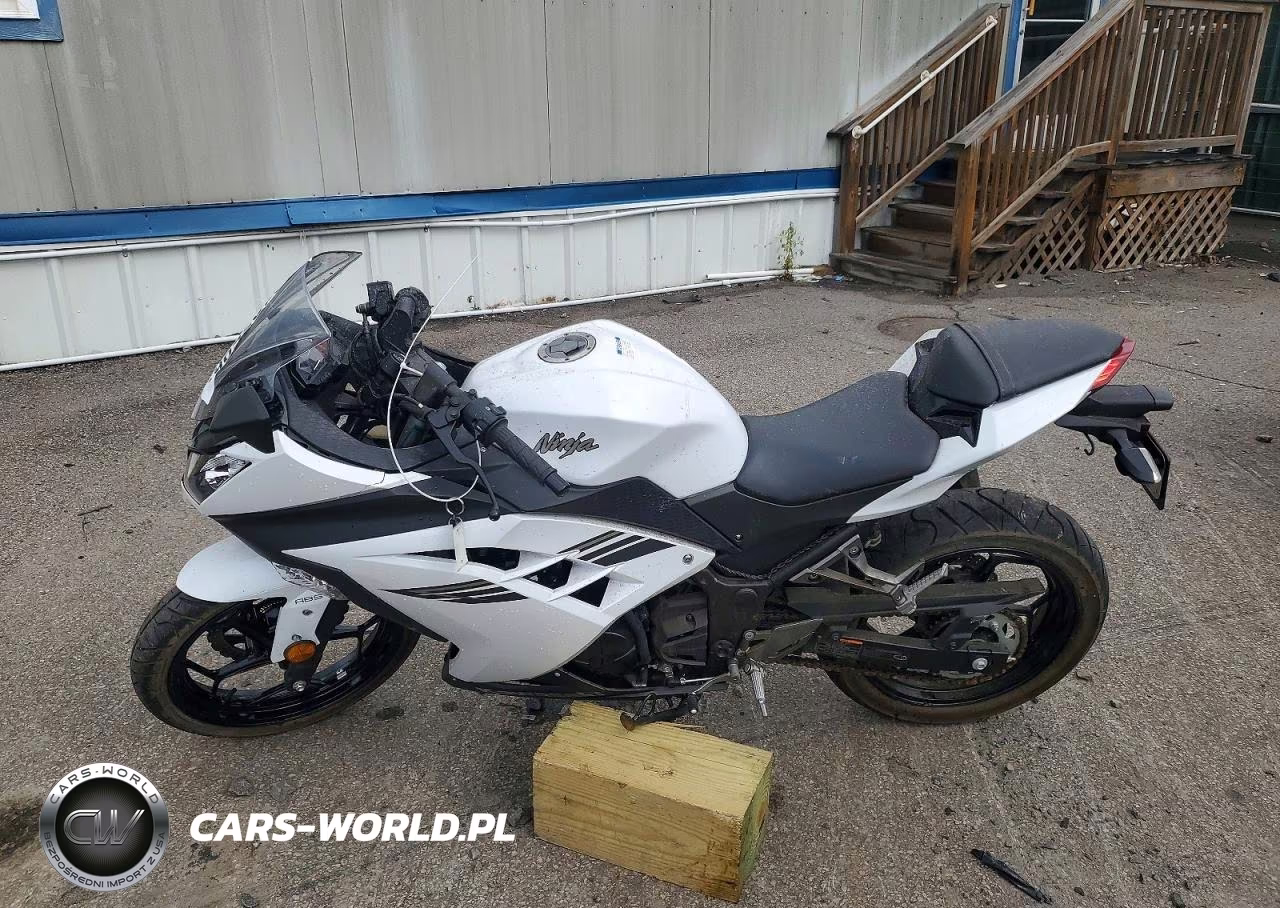 2017 Kawasaki Ex300 B VIN:JKAEX8B15HDA35771 - 3