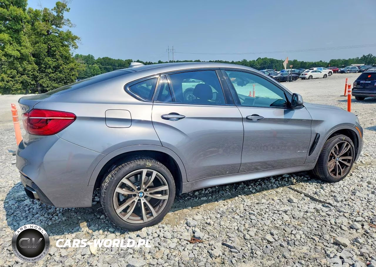 2015 BMW X6 xDrive50I VIN:5UXKU6C53F0F93838 - 3