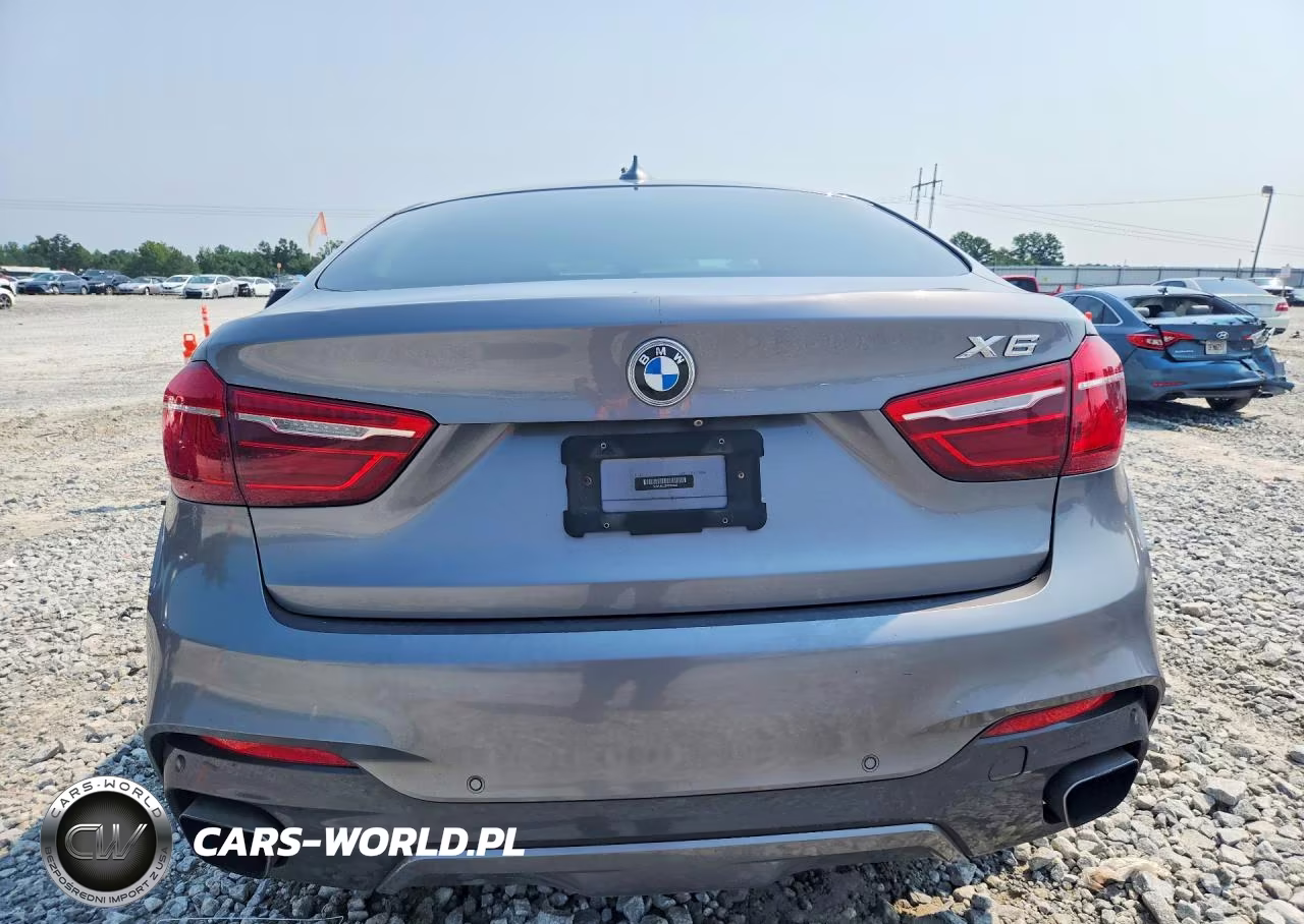 2015 BMW X6 xDrive50I VIN:5UXKU6C53F0F93838 - 6