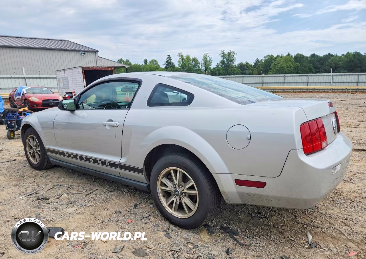 2005 Ford Mustang VIN:1ZVFT80N955113321 - 2