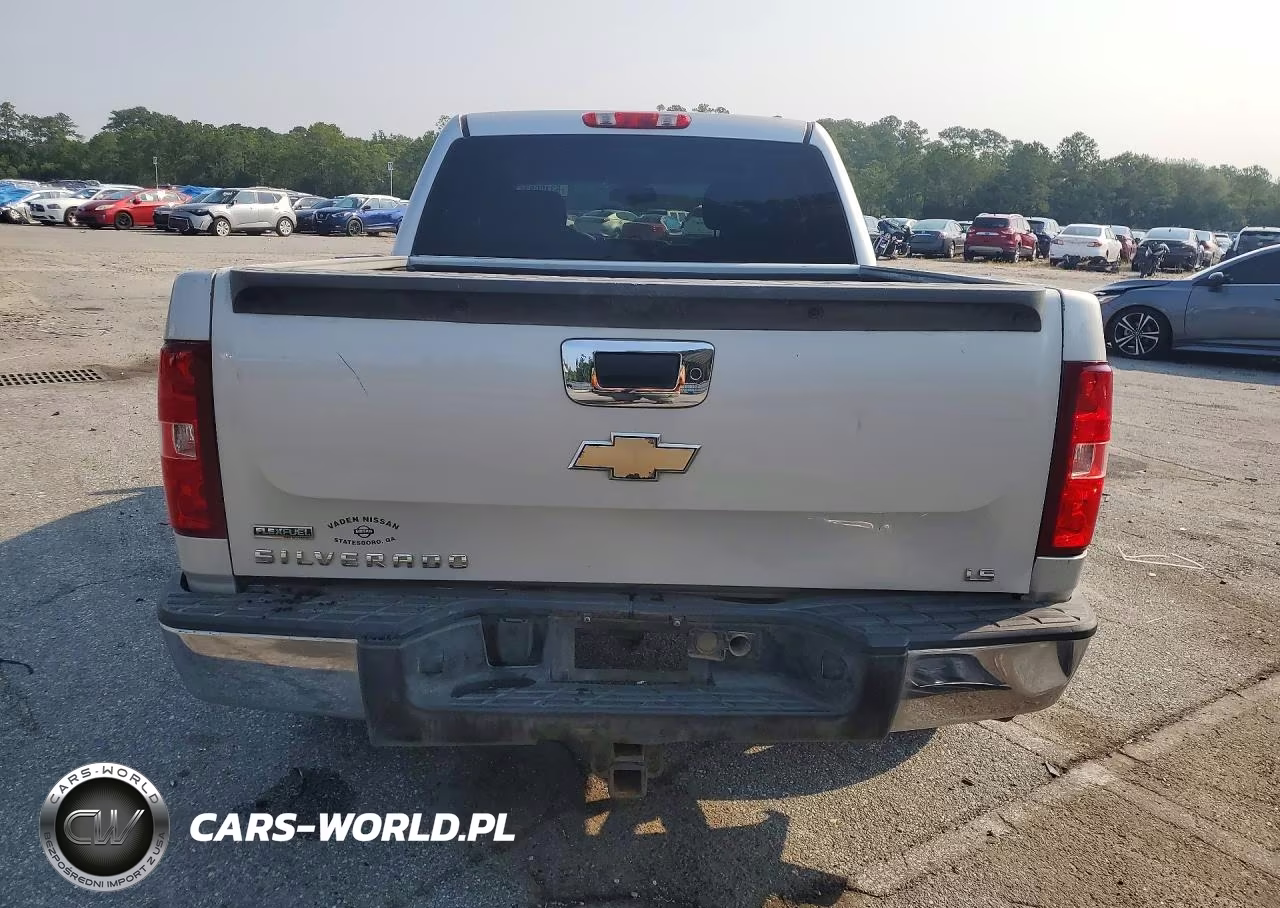 2010 Chevrolet Silverado C1500 Ls VIN:3GCRCREA8AG202148 - 6