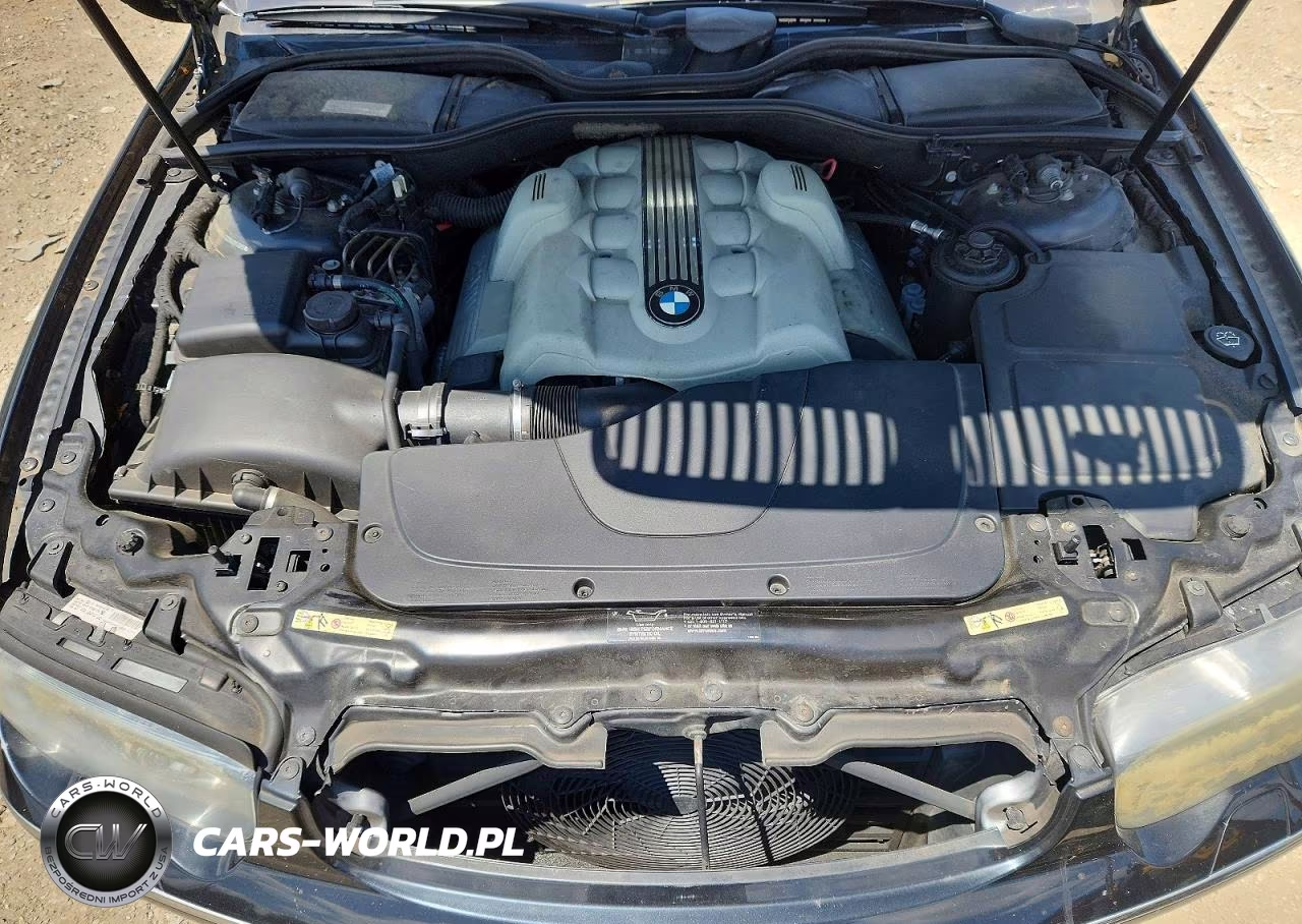 2003 BMW 745 Li VIN:WBAGN63413DR09490 - 11