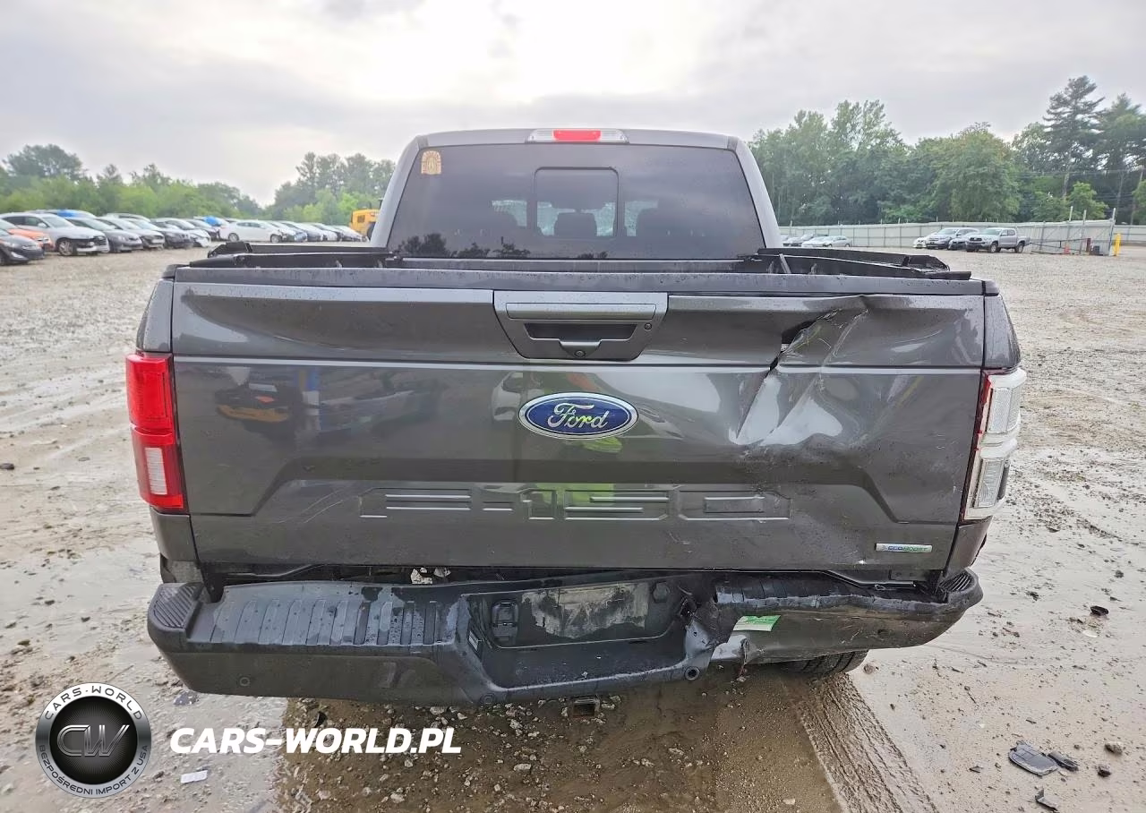 2020 Ford F150 Supercrew VIN:1FTEW1E4XLFB59549 - 6