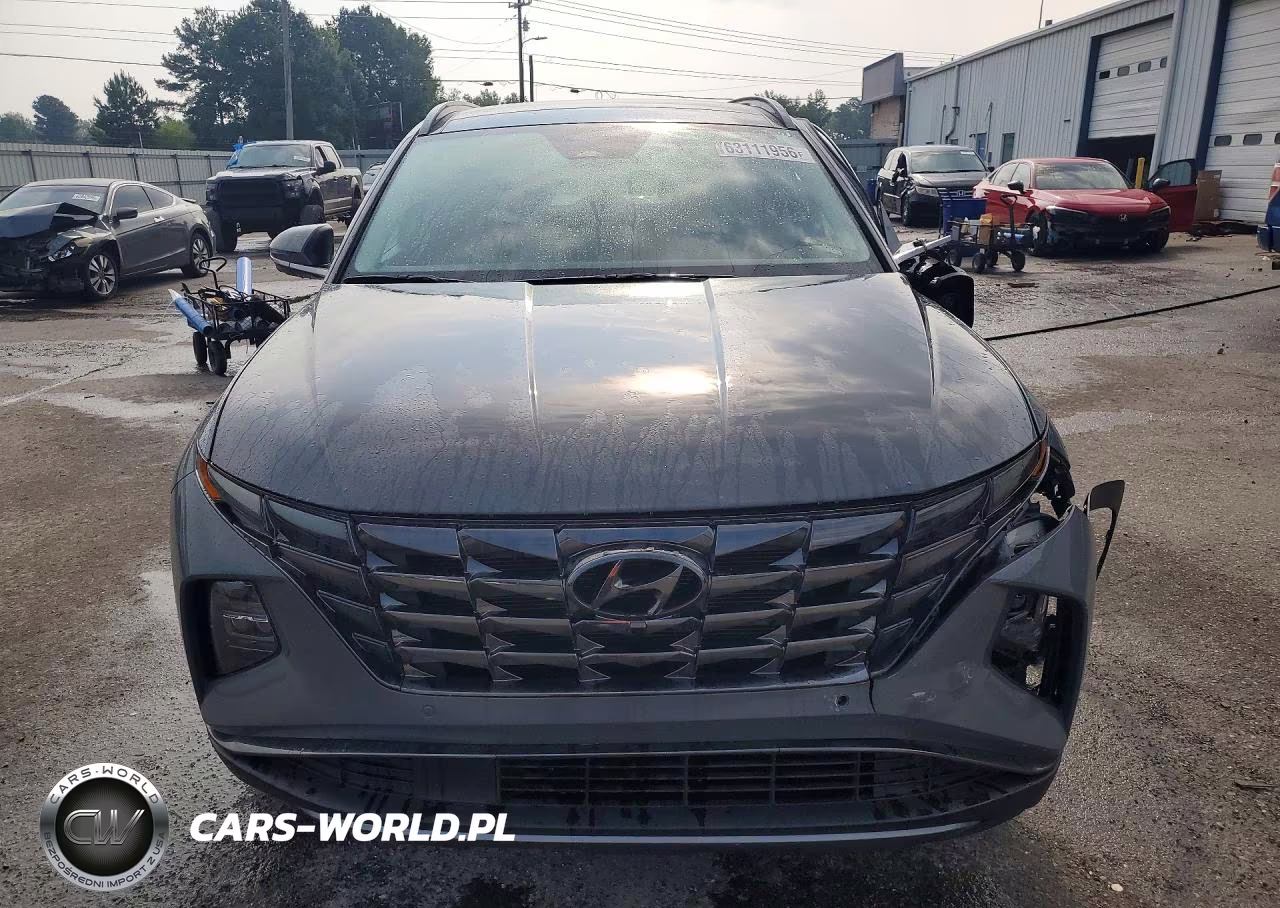 2024 Hyundai Tucson Limited VIN:5NMJE3DE1RH300883 - 5