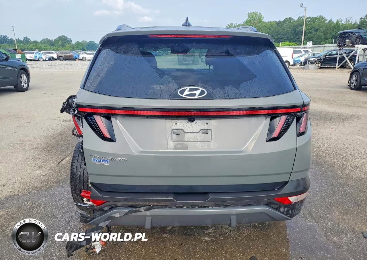 2024 Hyundai Tucson Limited VIN:5NMJE3DE1RH300883 - 6