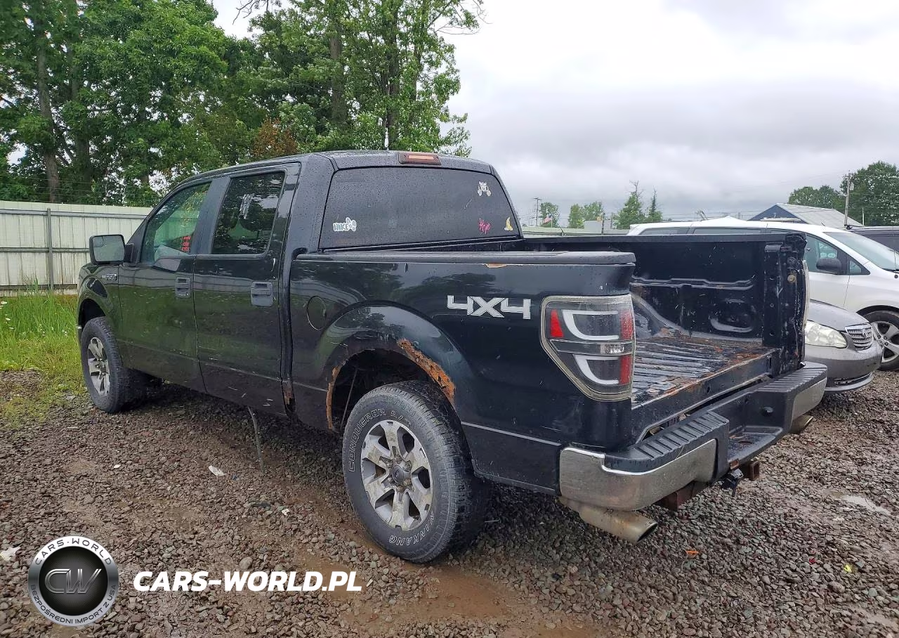 2013 Ford F150 Supercrew VIN:1FTFW1EF1DFA31773 - 2