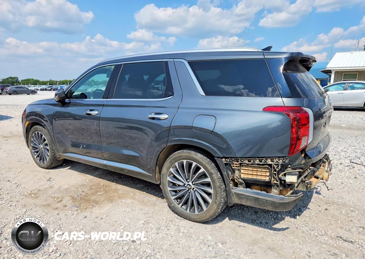 2023 Hyundai Palisade Calligraphy VIN:KM8R7DGE4PU639573 - 2