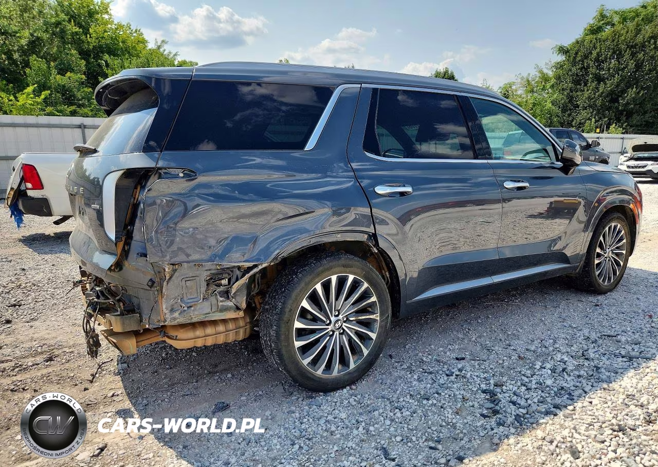 2023 Hyundai Palisade Calligraphy VIN:KM8R7DGE4PU639573 - 3