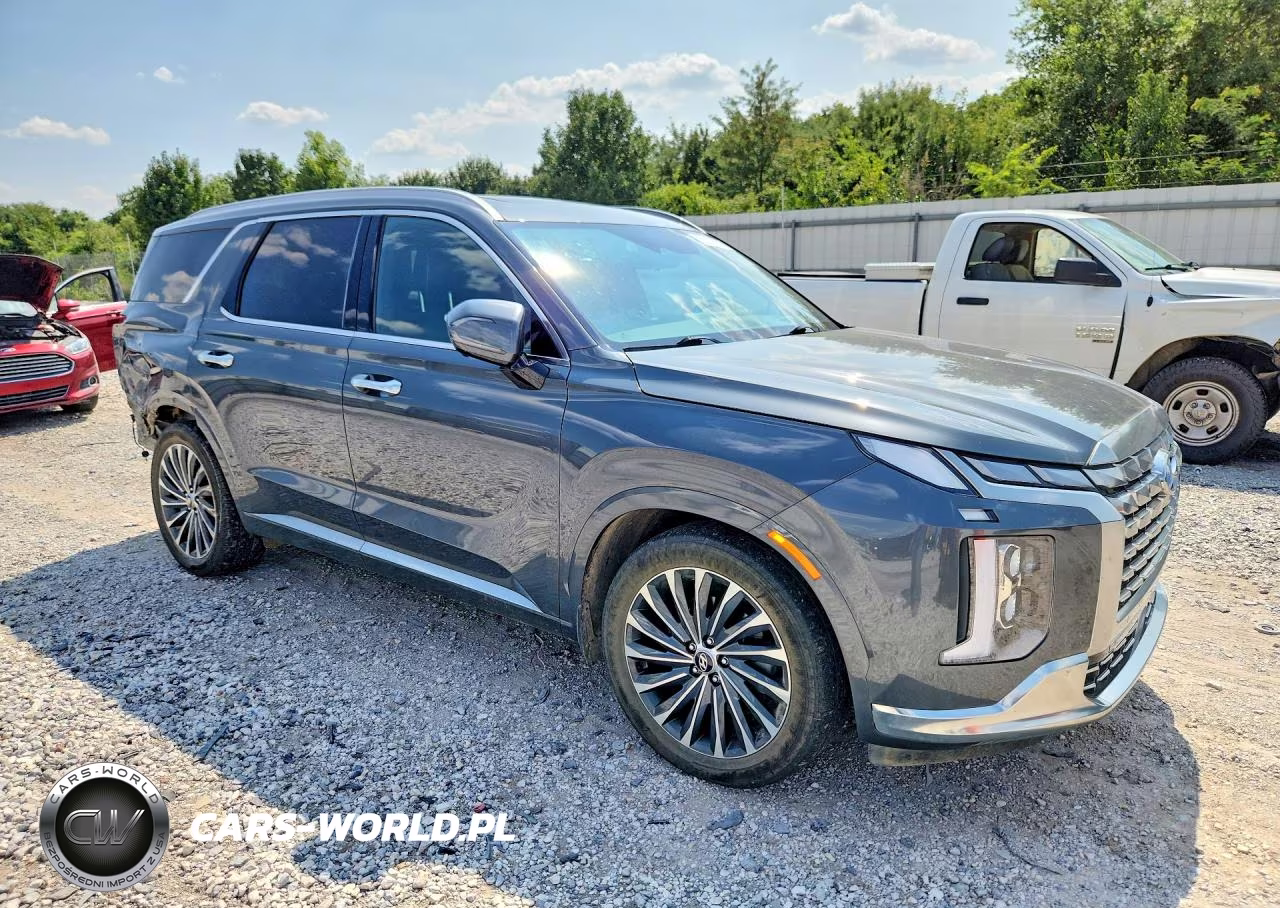 2023 Hyundai Palisade Calligraphy VIN:KM8R7DGE4PU639573 - 4